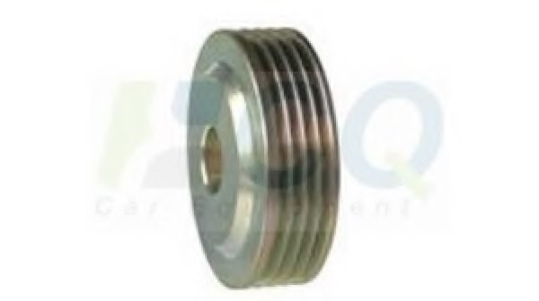 LAUBER CQ1040319 Pulley, alternator